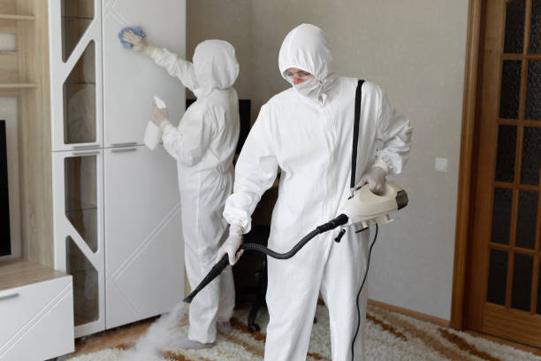 24/7 Emergency Odor Removal experts in Rutherford, CA